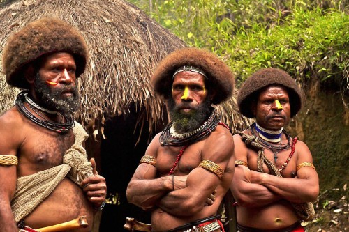 Удивительных племен много. Вот эти папуасы из Новой Гвинеи с помощью особых ритуалов они заставляют волосы расти быстрее, чтобы можно было создать традиционную прическу.